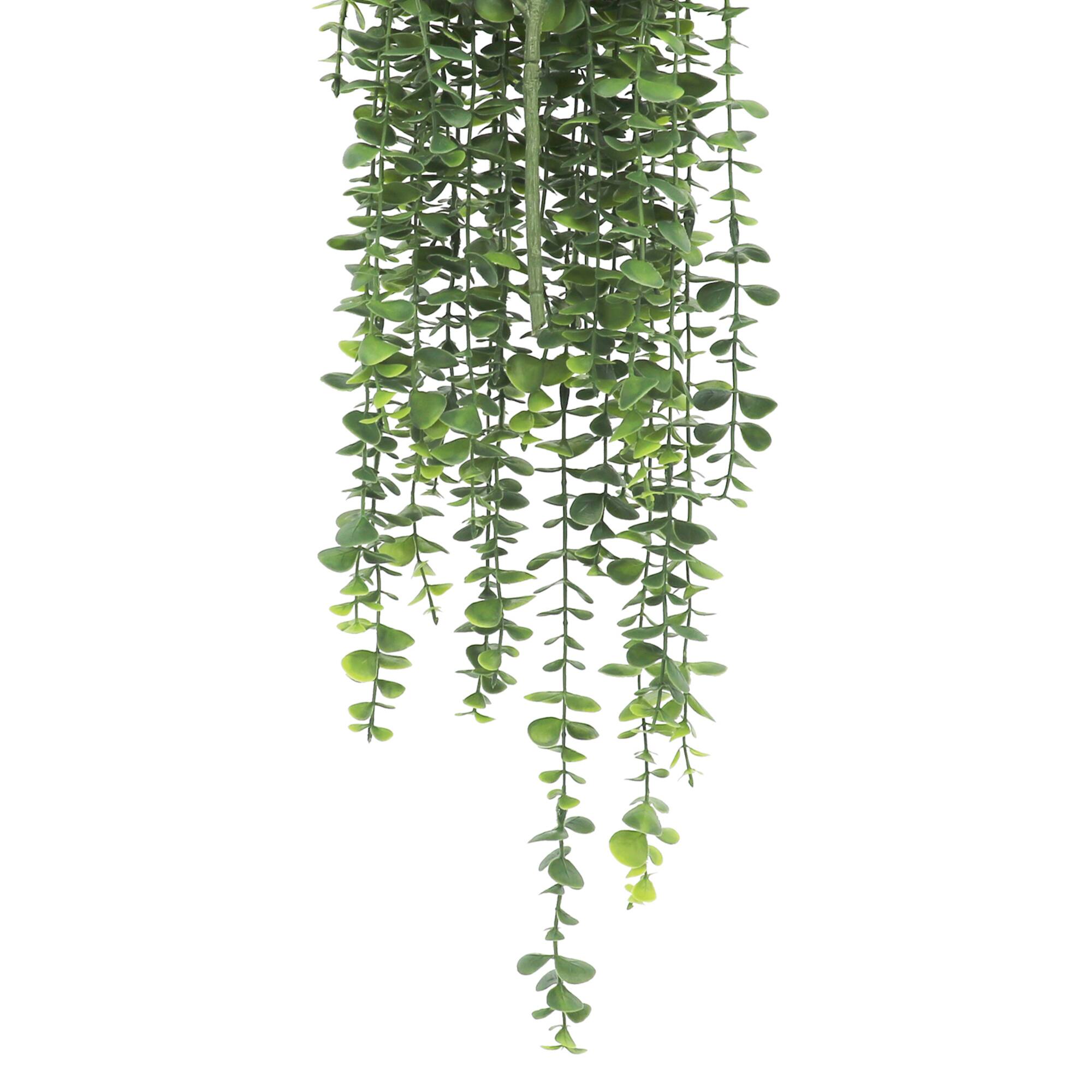 26" Dripping Eucalyptus Bush by Ashland®